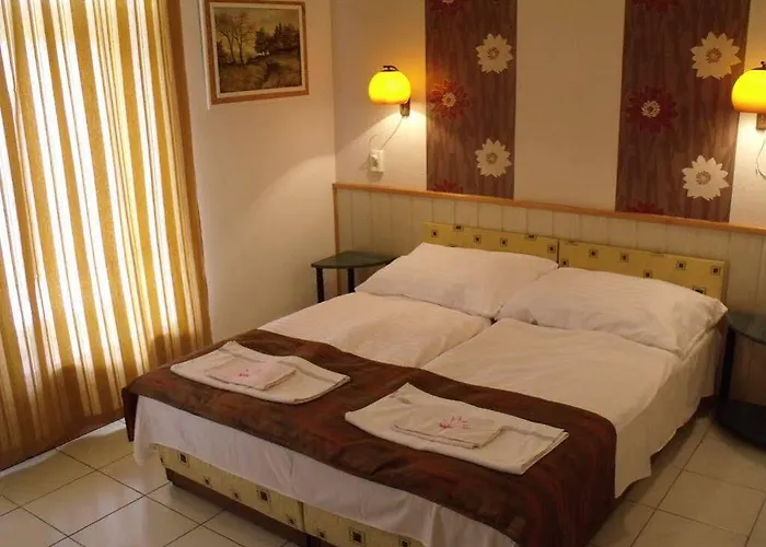 Korona Panzio 2* バラトンフレド